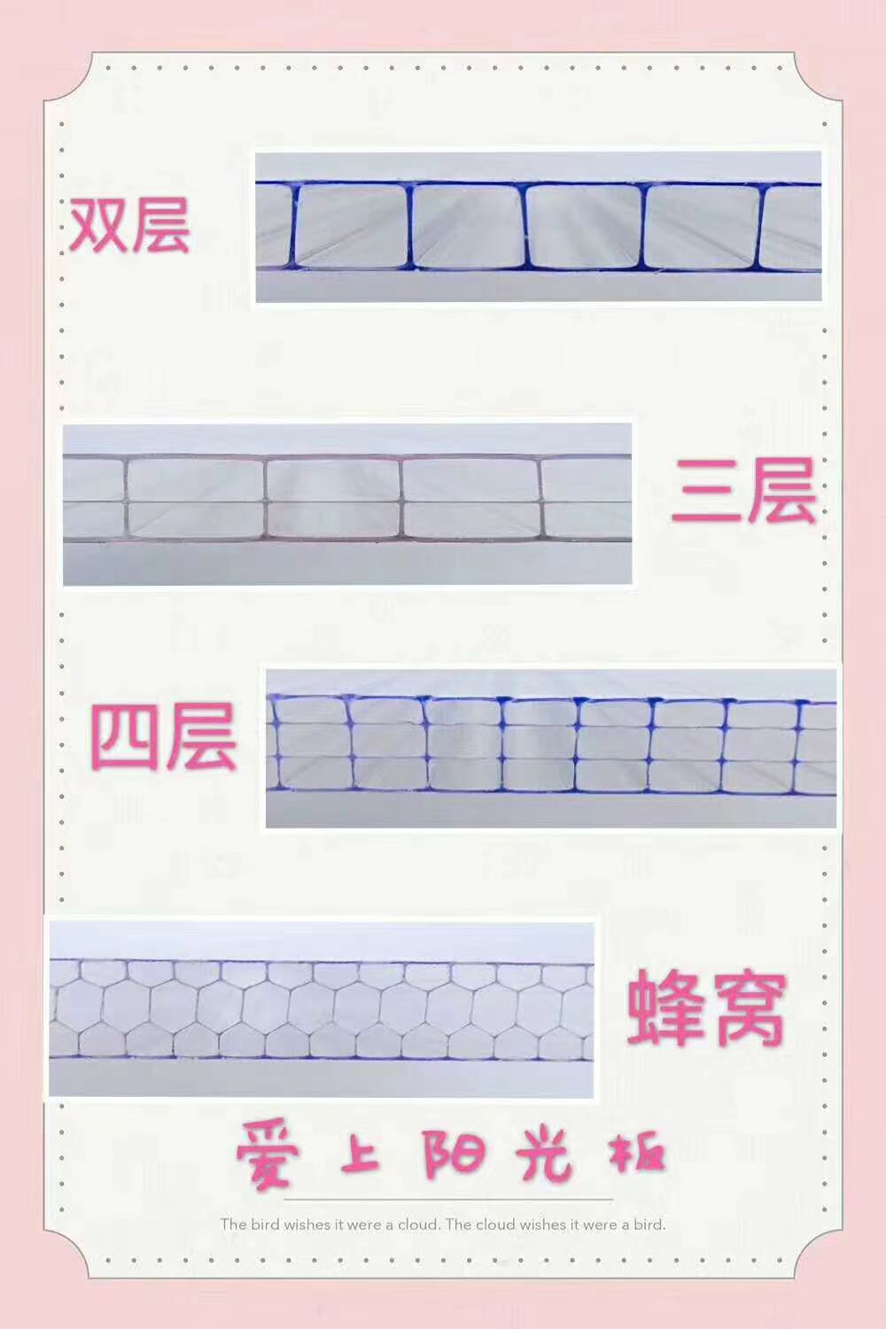 微信图片_20240313093251.jpg