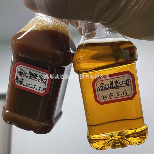 海紅果1_副本.jpg