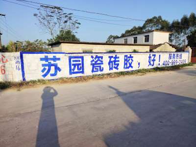 蘇園建材南寧地區(qū)手繪墻體廣告精選照片 (6).jpg