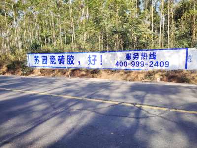 蘇園建材南寧地區(qū)手繪墻體廣告精選照片 (8).jpg