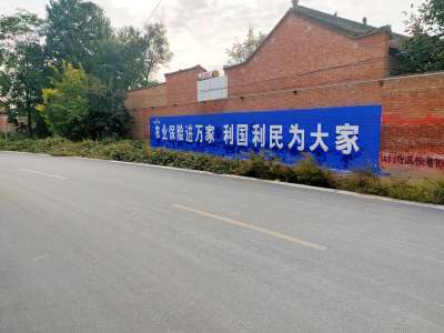 農(nóng)業(yè)保險(xiǎn)寶雞地區(qū)手繪墻體廣告精選照片 (4).jpg
