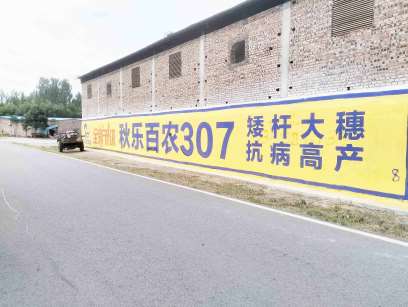 秋樂(lè)百農(nóng)河南地區(qū)墻體廣告精選照片2.jpg