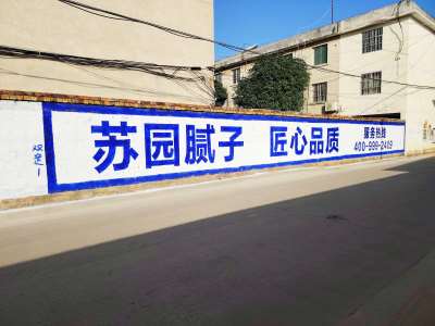 蘇園建材南寧地區(qū)手繪墻體廣告精選照片 (1).jpg