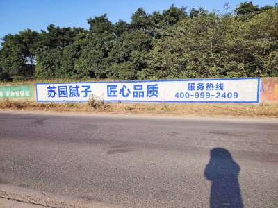 蘇園建材南寧地區(qū)手繪墻體廣告精選照片 (7).jpg