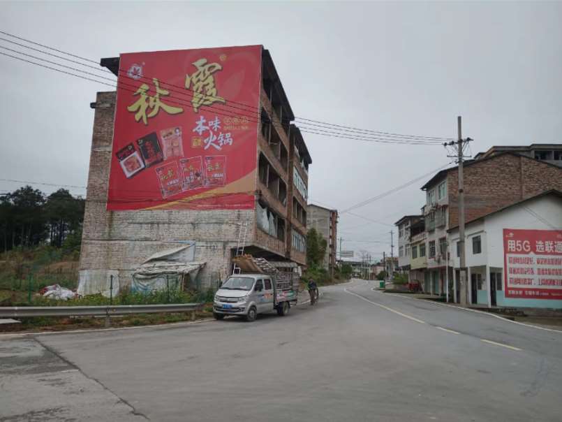 墙体广告 (2).png