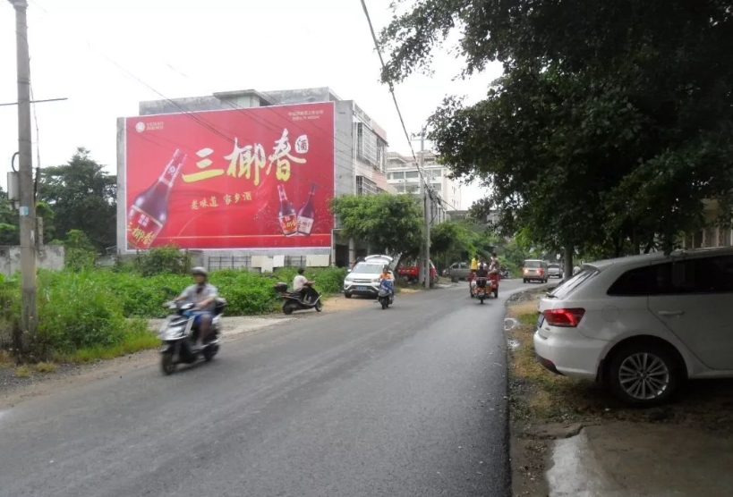 廣東墻體廣告 (35).jpg