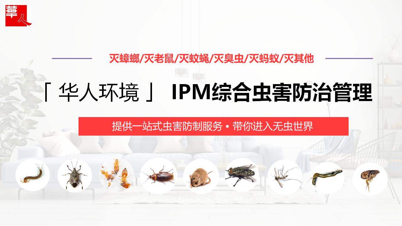 華人宣傳文案2_03.jpg