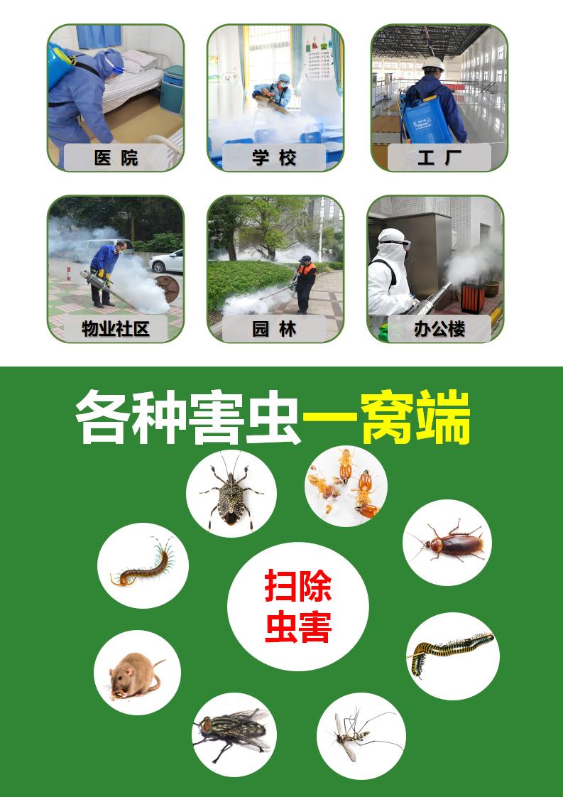 發(fā)視頻模板1_07.jpg