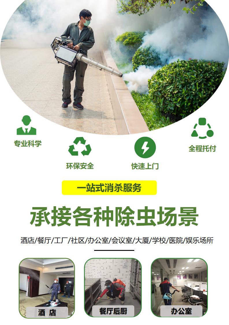 发视频模板_06.jpg