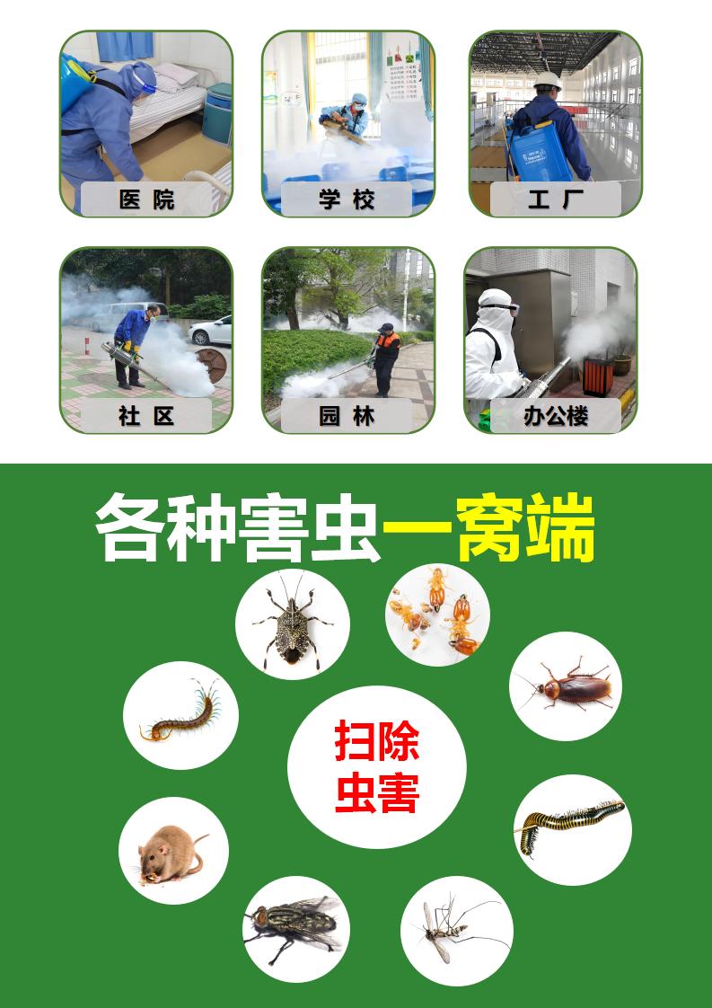 发视频模板_07.jpg