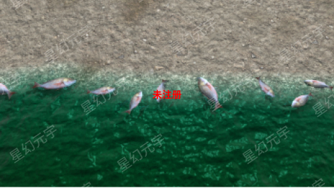 VR水污染治理.jpg