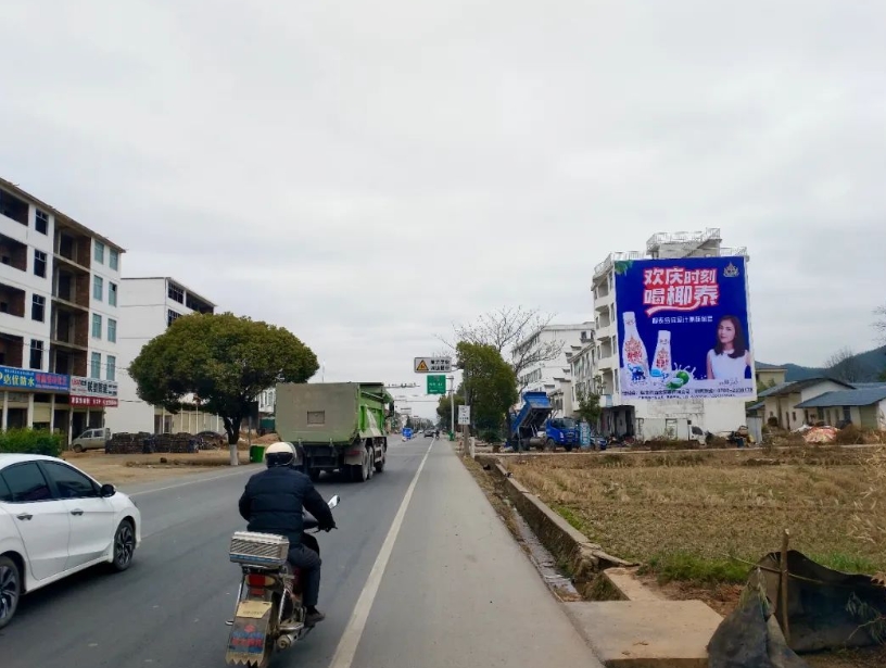 廣東墻體廣告 (65).jpg