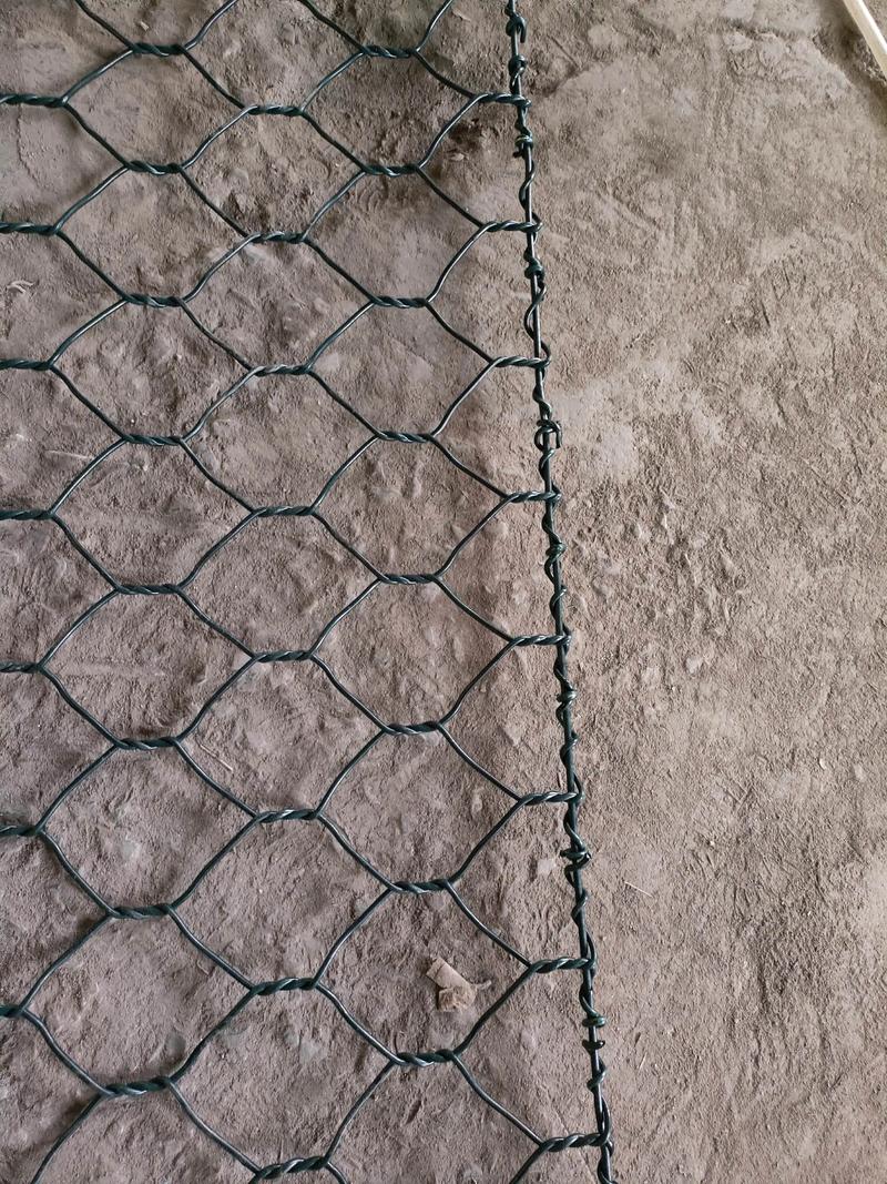 u=808496775,2927674841