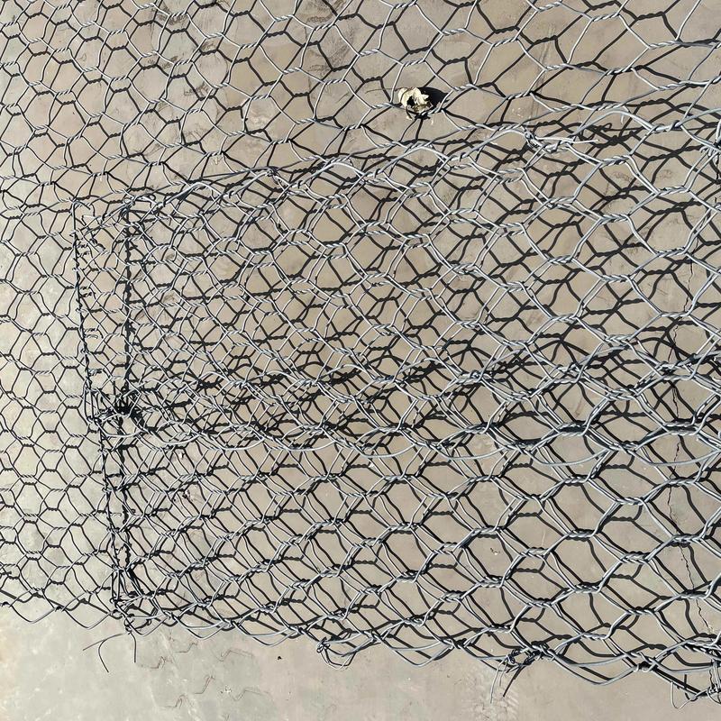 u=3850980222,574871173