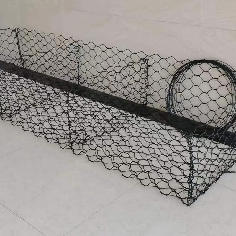 u=2080825519,3738934254