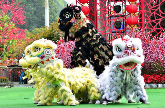 北狮好?还是锦绣中华狮王好!