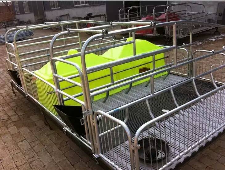 双体无缝焊接母猪产床双栏分娩床猪栏养猪设备